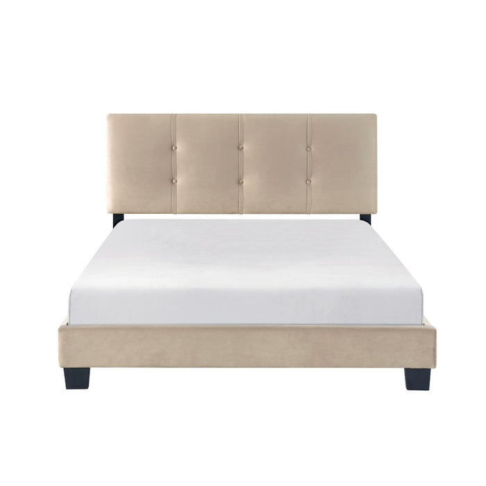Newberry - Platform Bed