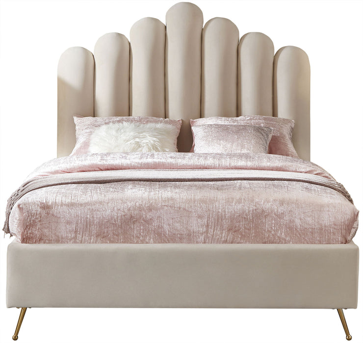 Lily - Bed