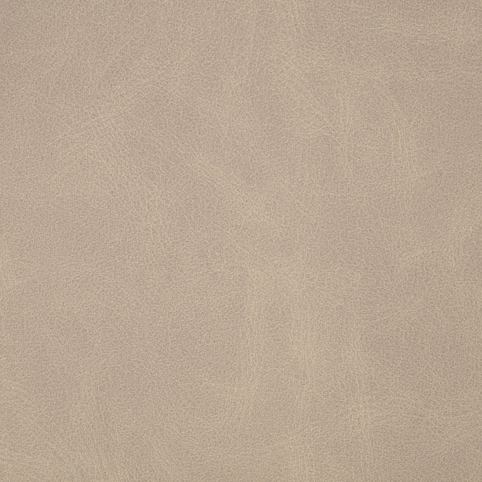 Averill Faux Leather Upholstered Dining Side Chair Tan (Set of 2)